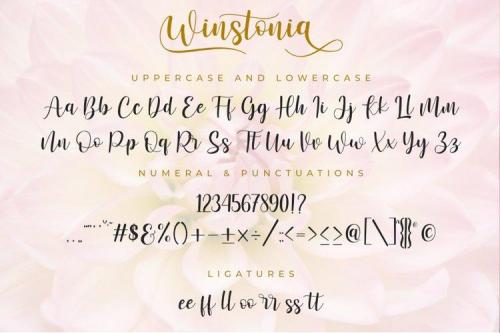 Winstonia Modern Calligraphy Font 5