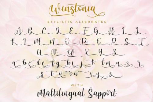 Winstonia Modern Calligraphy Font 6