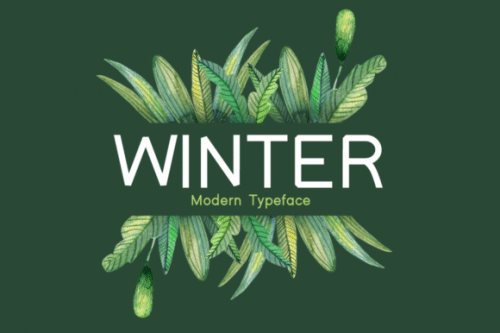 Winter Sans Serif Font