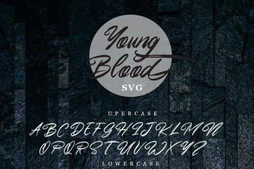 Young Blood SVG and Solid Script Font 6