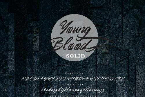 Young Blood SVG and Solid Script Font 7