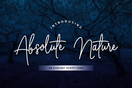 Absolute Nature Font 1