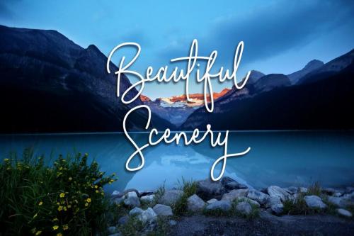 Absolute Nature Font 5