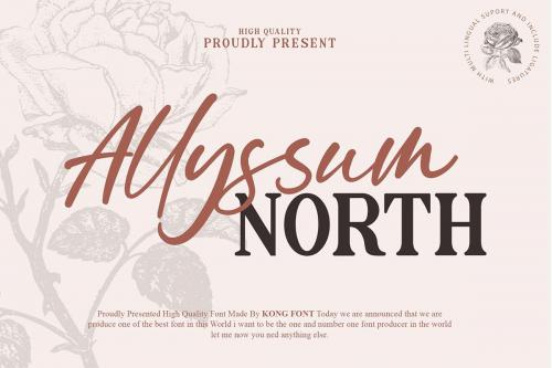 Allyssum North Font 1