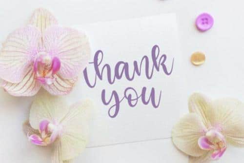Bright Violet Font 6