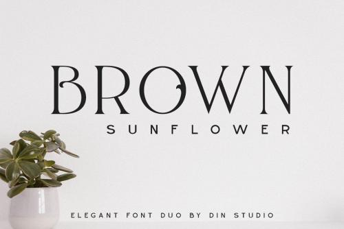 Brown Sunflower Serif Font 1