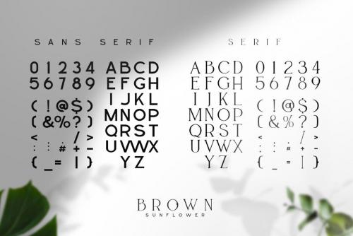 Brown Sunflower Serif Font 12