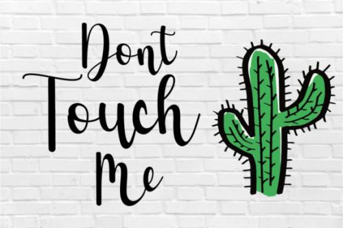 Cactus Font 2