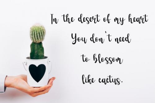 Cactus Font 5