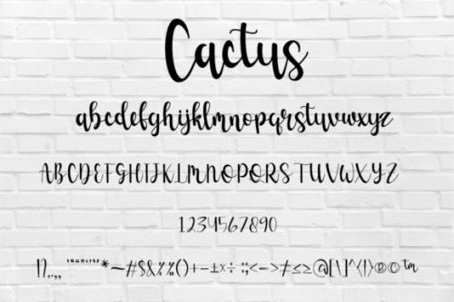 Cactus Font 6
