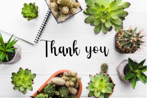 Cactus Font 7