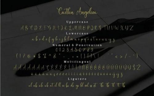 Caitlin Angelica Font 12
