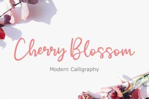 Cherry Blossom Font