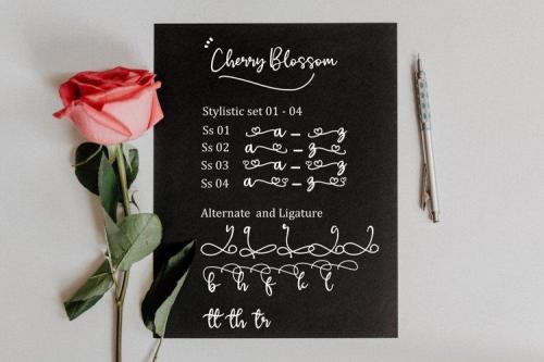 Cherry Blossom Font 4