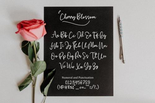 Cherry Blossom Font 5
