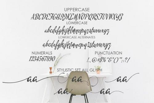 Chintia Script Font 6