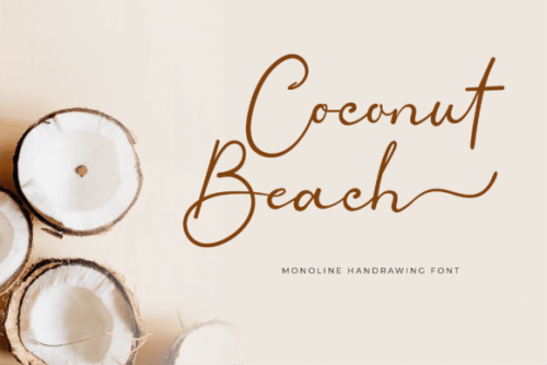 Coconut Beach Monoline Handwritten Font 1