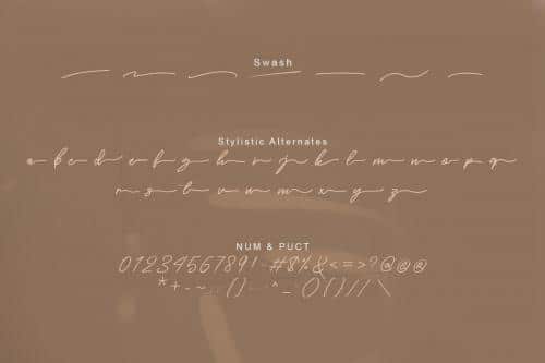 Costtella Handwritten Script Font 6