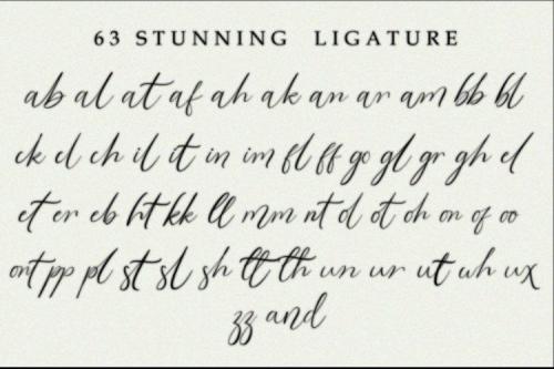Elizabeth Signature Font 11