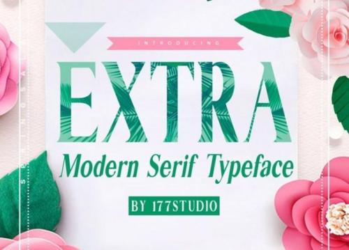 Extra Serif Font 1