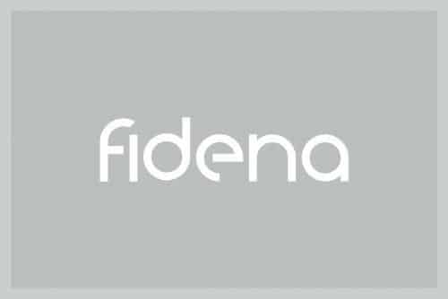 Fidena Sans Serif Font 1