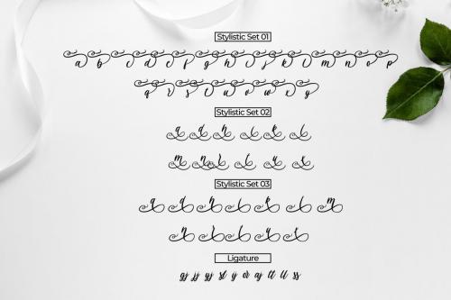 Havana Calligraphy Font 7