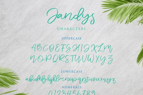 Jandys Typeface 5
