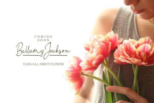Little Queen Font 8