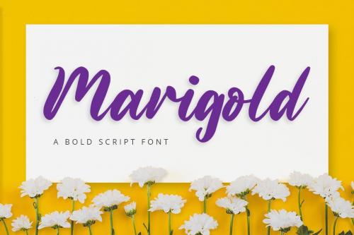 Marigold Bold Script Font