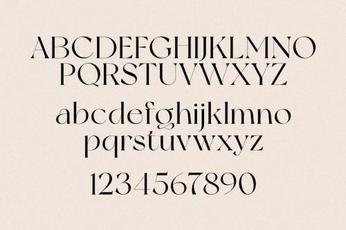 New York Modern Serif Typeface 13