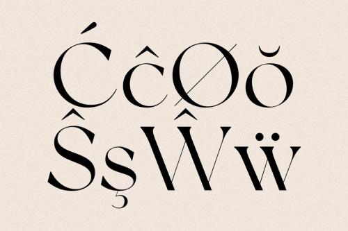 New York Modern Serif Typeface 9