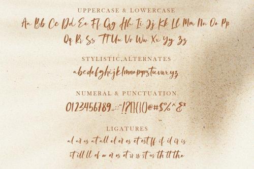 Oliver Brush Font 2