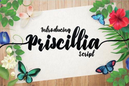 Priscillia Script Font 1
