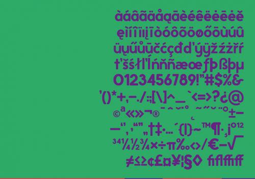 Rosmi Font 13