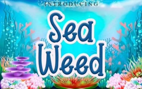 Sea Weed Font 1