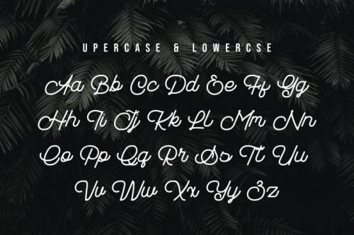 Sebasta Font 5