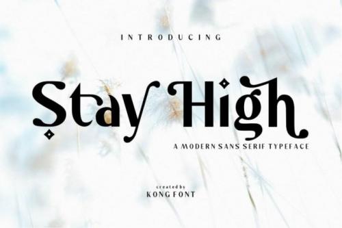 Stay High Font 10 (1)
