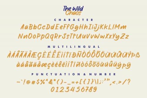 The Wild Chaos Font  14