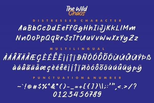 The Wild Chaos Font  15