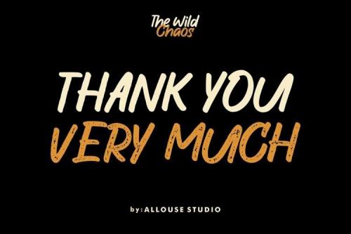 The Wild Chaos Font  3