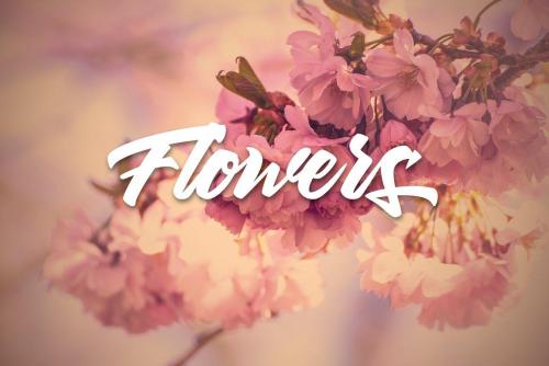 Thirthy Font 9