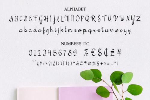 Valencia Handwritten Font 4