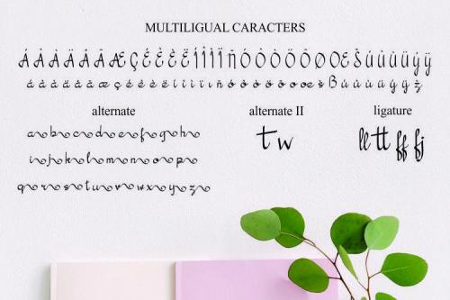 Valencia Handwritten Font 5