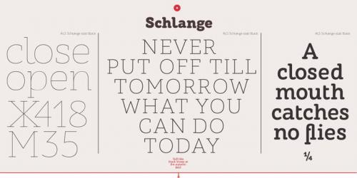 ALS Schlange Slab Font 2