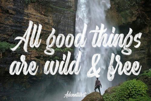 Adventurist Script Font 8