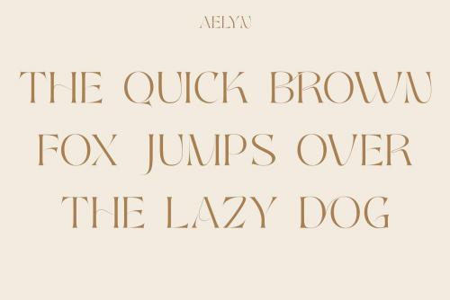 Aelyn Serif Font 3