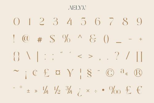 Aelyn Serif Font 5