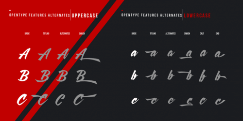 Agneya Font 4