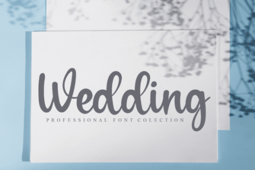 Amellinda Weddings Script Font 4