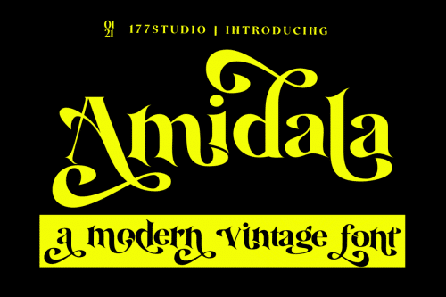 Amidala Serif Font 1
